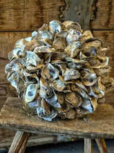 Load image into Gallery viewer, Large Oyster Shell Sphere - French Coastal Rustic Decorative Orb