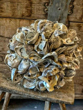 Load image into Gallery viewer, Large Oyster Shell Sphere - French Coastal Rustic Decorative Orb