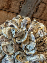 Load image into Gallery viewer, Large Oyster Shell Sphere - French Coastal Rustic Decorative Orb