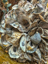 Load image into Gallery viewer, Large Oyster Shell Sphere - French Coastal Rustic Decorative Orb