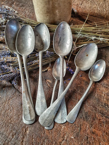 French Antique Pewter Spoons French country rustic farmhouse kitchen period home elm table Lavender dusty gems interiors nantwich 